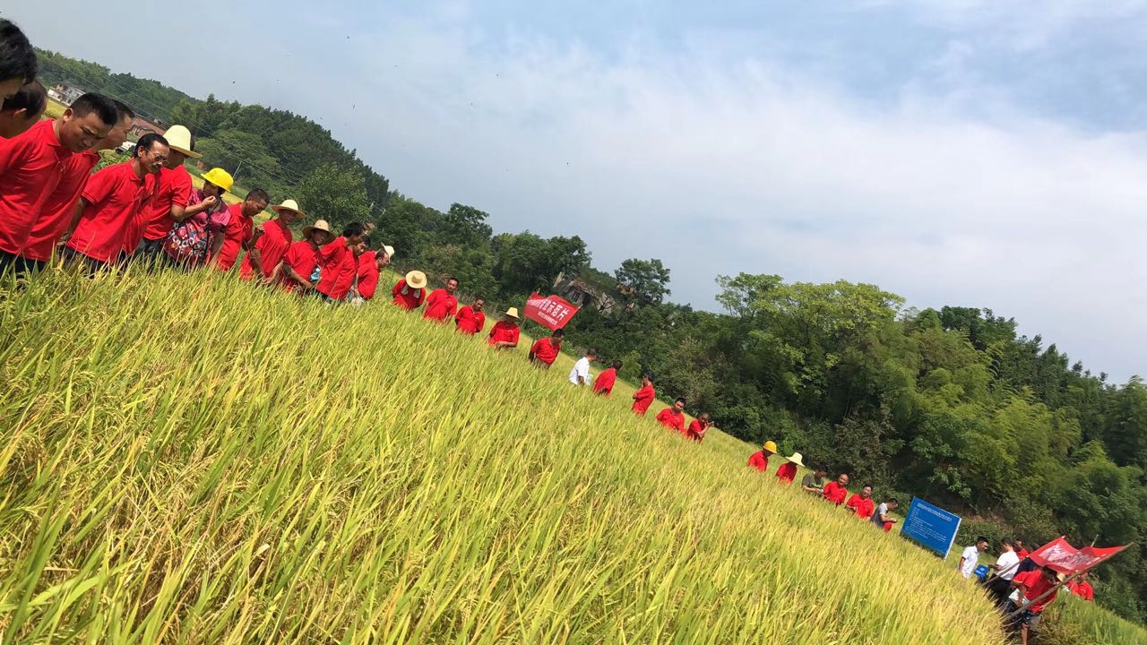 郴州市金土地化肥有限公司,湖南配方肥定點加工,林木肥銷售,有機肥質(zhì)量